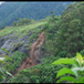 View album
