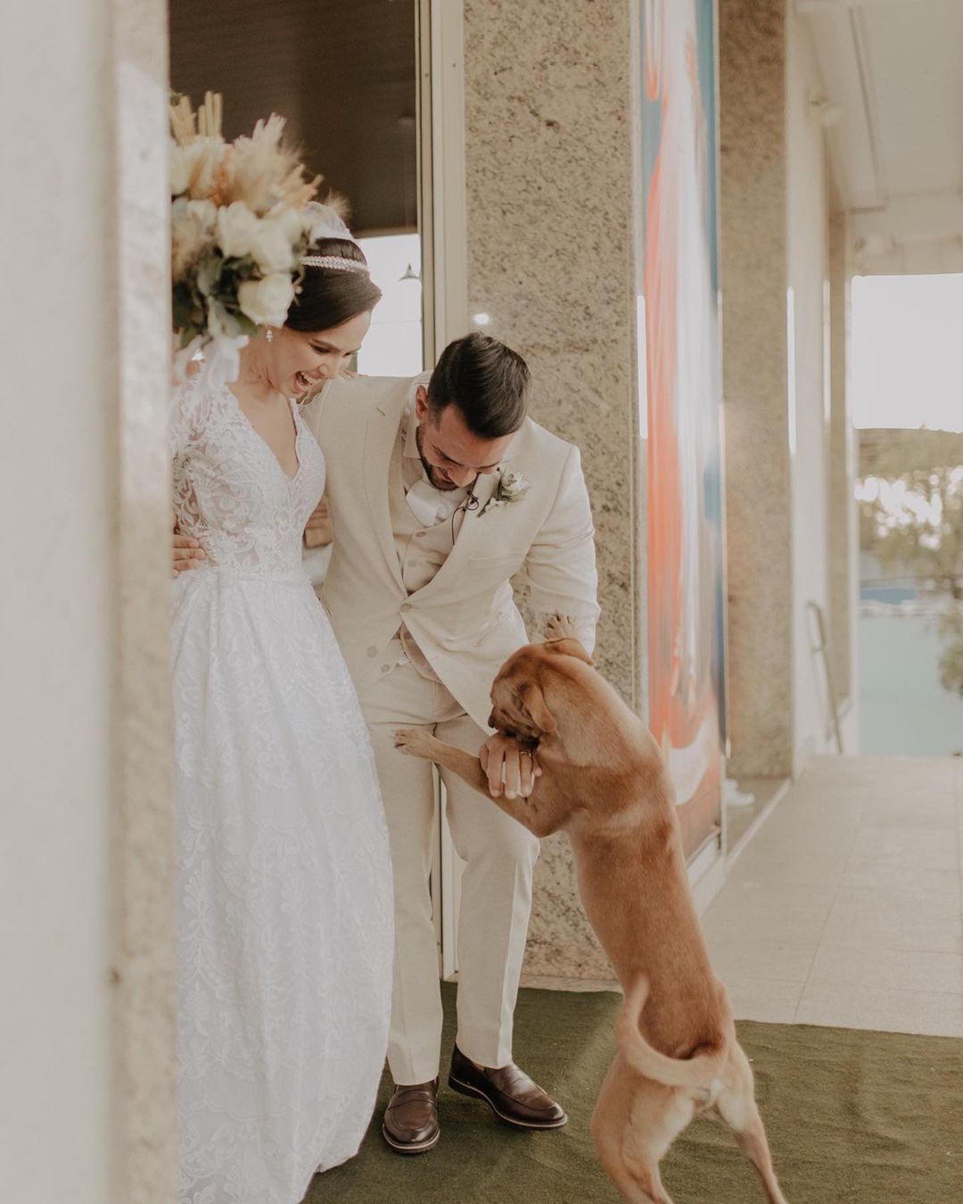 Stray Dog greeting newlyweds