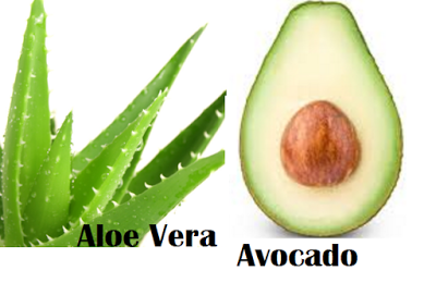 Aloe Vera & Avocado Mask for Dry Skin