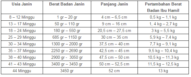 Ukuran Bayi Di Usia Kehamilan 5 Bulan - Tanya Alodokter