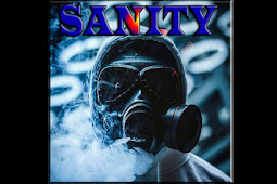 Sanity Addon, Review and install guide
