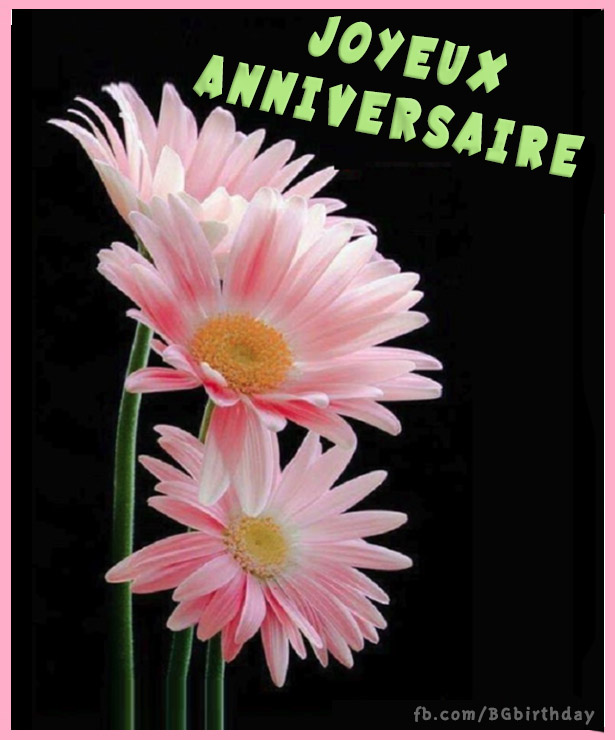 Fleurs Roses Carte De Voeux D Anniversaire