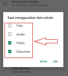 Inilah Cara Menonaktifkan Fitur Download Otomatis di WhatsApp