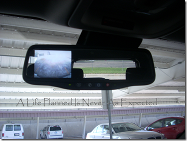 Picture17