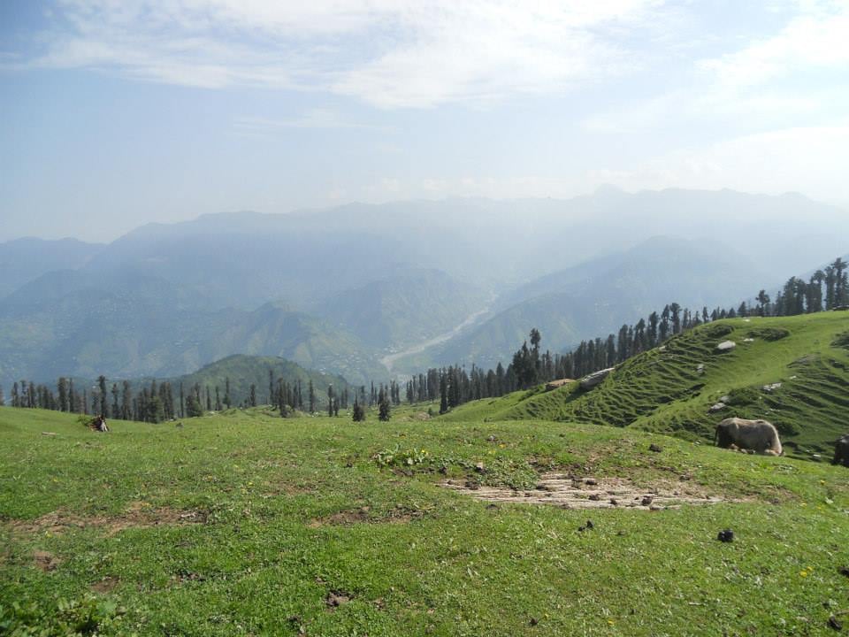 Khopra or Kopra meadows. Chail meadows. meadows in Allai valley. Hidden valley in Khyber Pakhtunkhwa