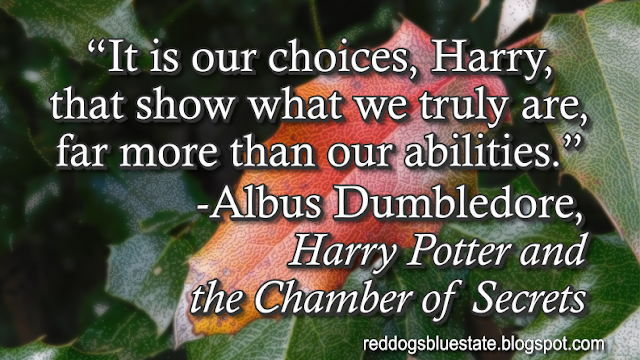 “It is our choices, Harry, that show what we truly are, far more than our abilities.” -Albus Dumbledore, _Harry Potter and the Chamber of Secrets_