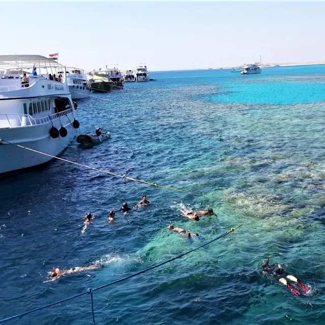 Snorkeling In Hurghada spots Red Sea Egypt