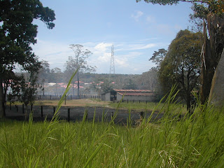 Fire, La Ceiba, Honduras