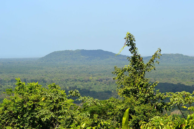Guyane, Kourou, la montagne des singes, randonnée, jungle