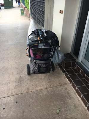 A puppy pram!