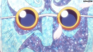 ワンピースアニメ 1022話 ヒョウ五郎 HYOGORO | ONE PIECE Episode 1022