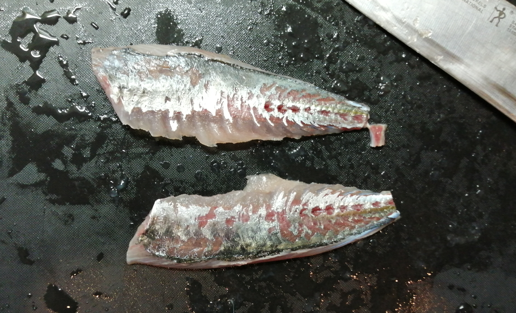 釣った魚を冷凍 刺身で安全に食べる アジ サバ イワシ 釣り小魚の冷凍解凍手順 リーぱぱのブログ