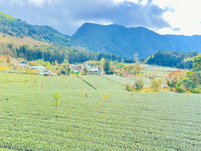 展望頂湖村落