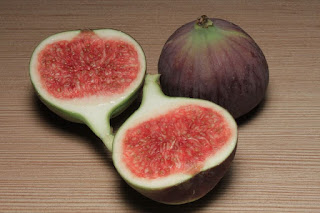 Fig