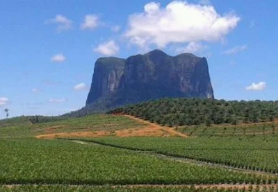 42 TEMPAT WISATA DI KABUPATEN KETAPANG KALIMANTAN BARAT TERLENGKAP INSTAGRAMBLE COCOK DIKUNJUNGI BERSAMA