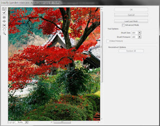 photoshop cs6 : liquify tool