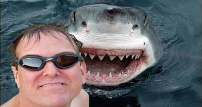 25 Most Dangerous Selfies Ever Will Give You Goosebumps!