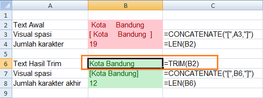 Fungsi Excel TRIM