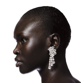 Woman with a sloping facial profile. Alek Wek, South Sudanese-British model.