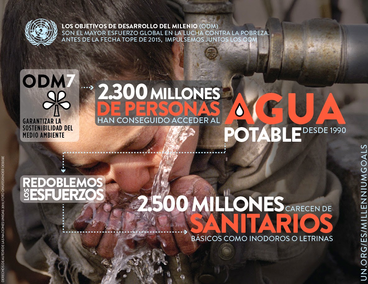 http://www.un.org/es/millenniumgoals/environ.shtml