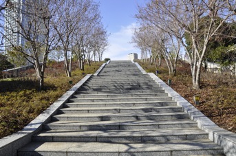 DSC 0185