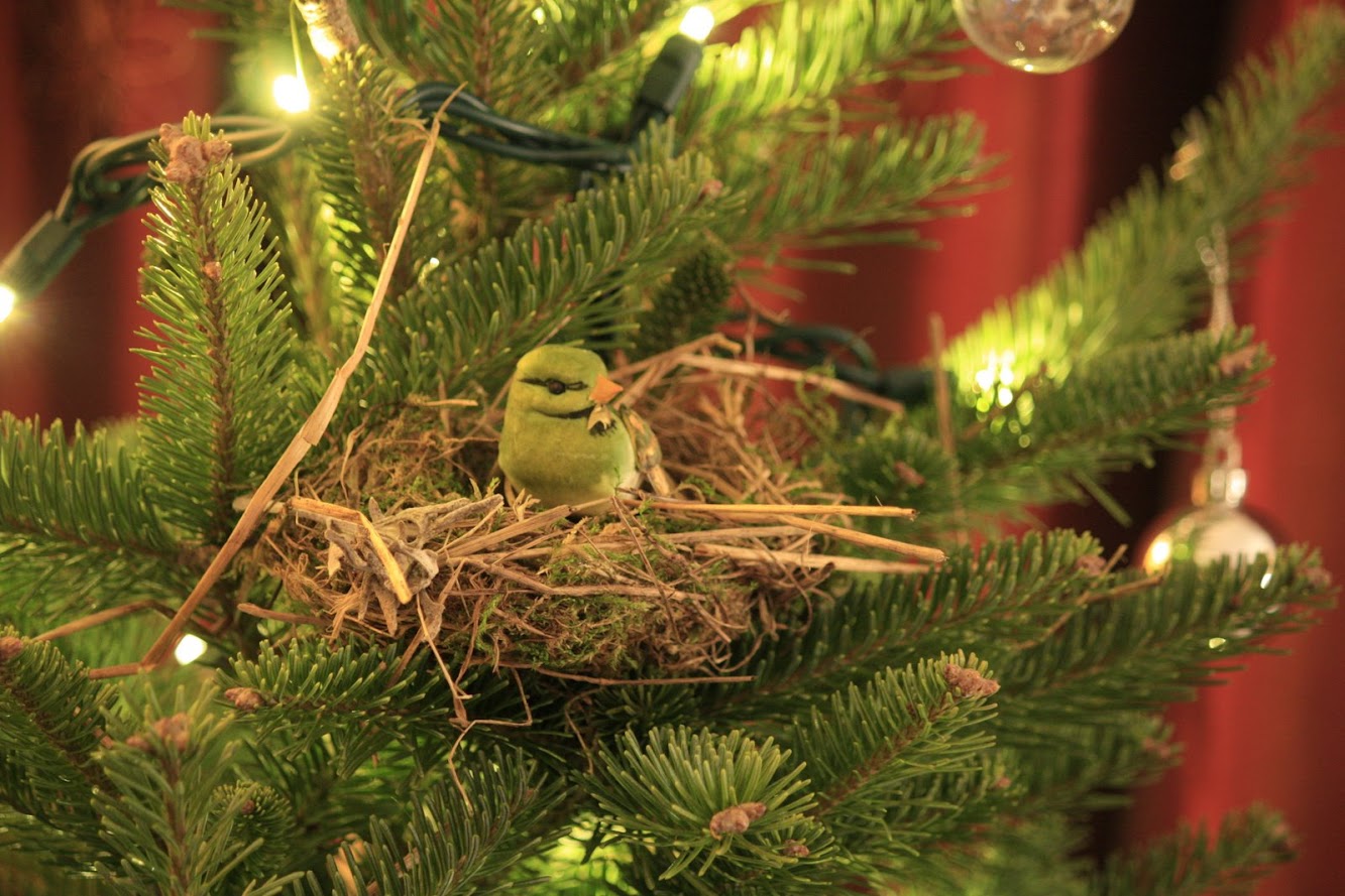My Christmas Tree comes with a birds nest!