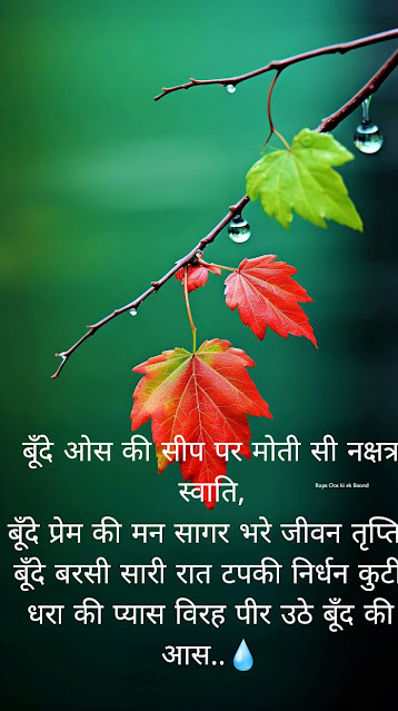 Os ki Boond Quotes / ओस की बूंद शायरी (Shayari)