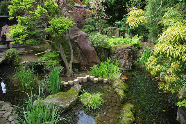 Japanese Beautiful Garden