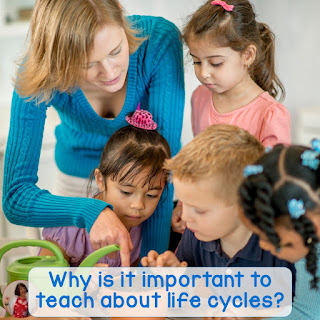 Do you teach about life cycles? Discover hands-on learning fun with these life cycle ideas and activities!