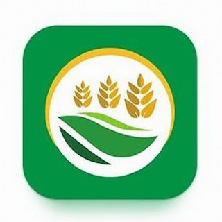 महाविस्तार अ‍ॅप : स्मार्ट शेतीकडे वाटचाल करणारे नवे डिजिटल साधन - Mahavistar App: A new digital tool moving towards smart agriculture