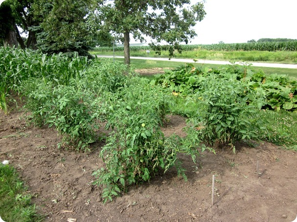 garden tour 054