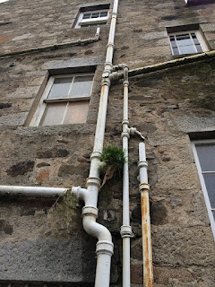 Downspouts to help collect water