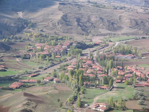 6046960yaprakli