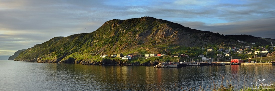 Portugal Cove Panoramic Photo