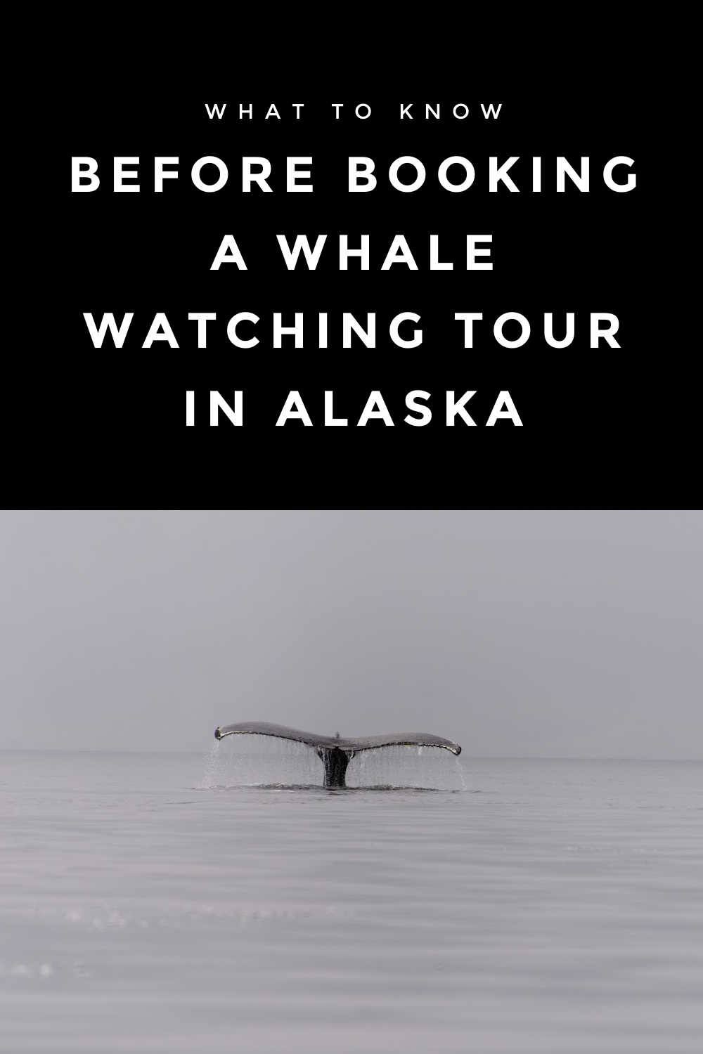 WHAT TO KNOW BEFORE BOOKING A WHALE WATCHING TOUR IN ALASKA