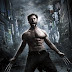 The Wolverine (2013) Online Gratis 