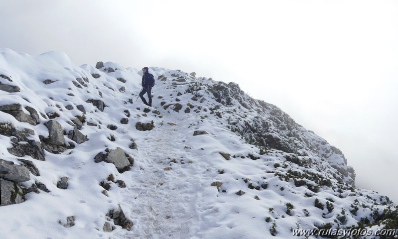 Subida al Torrecilla desde Quejigales