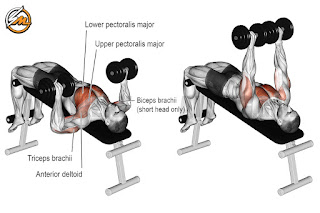 The 5 Best Lower Chest Exercises to Build Your Pecs