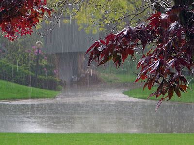heavy rain