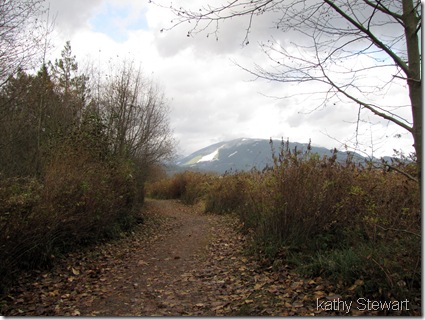 The trail