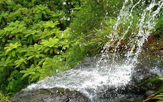 Waitakere-Waterfall