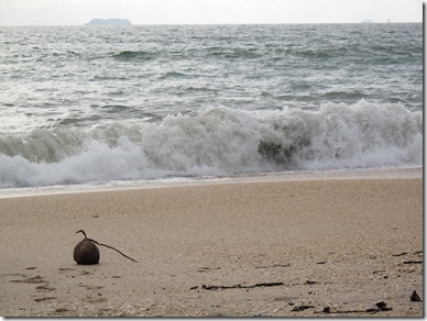 Phra Ae Beach waves coconut