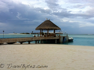 The main jetty and diving departure area