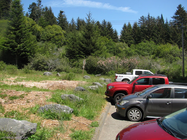 quite a few cars in the parking lot