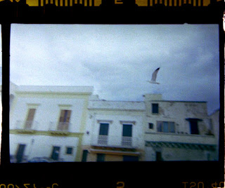 kodak fotocamera usa e getta