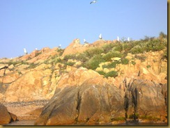ile-rossa3