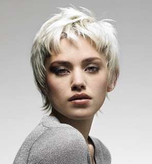 Short Hairstyle 2010