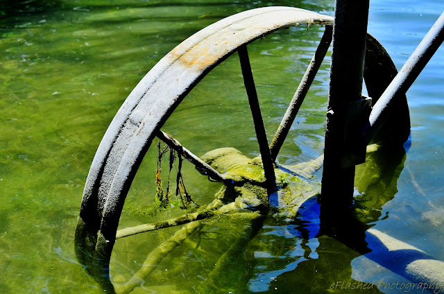 Rusty Water Wheel