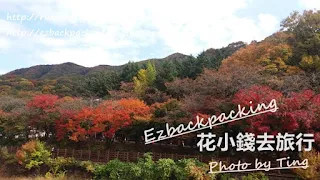 2018內藏山紅葉