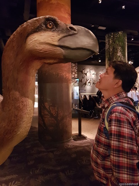 Coming face to face with a prehistoric bird in the Fossils and Evolution (Dinosaurs) section.